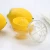 Import Portable Mini Manual Fruit Juicer, Orange Squeezer, Lemon Juicer Extractor from China