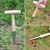 Import Powder coated Loosen Soil Tools Garden Hole Punch Wood Handle Plant Seed Sow Dibber Durable from China