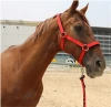 PP horse rope halter