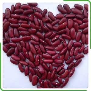 Premium quality Dark red Kidney beans new crop