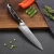 Import Professional 4 Pieces Damascus Steel Kitchen Knife Set with Ebony Wood Handle from China