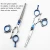 Import Professional Hairdressing Scissors .0 Inch LZQ Beauty Tooth Hair Scissors Sets from China