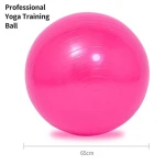 Professional Training Explosion-proof  Yoga Ball, Fitness Balls with Air Pump and Inflation Needle Customs
