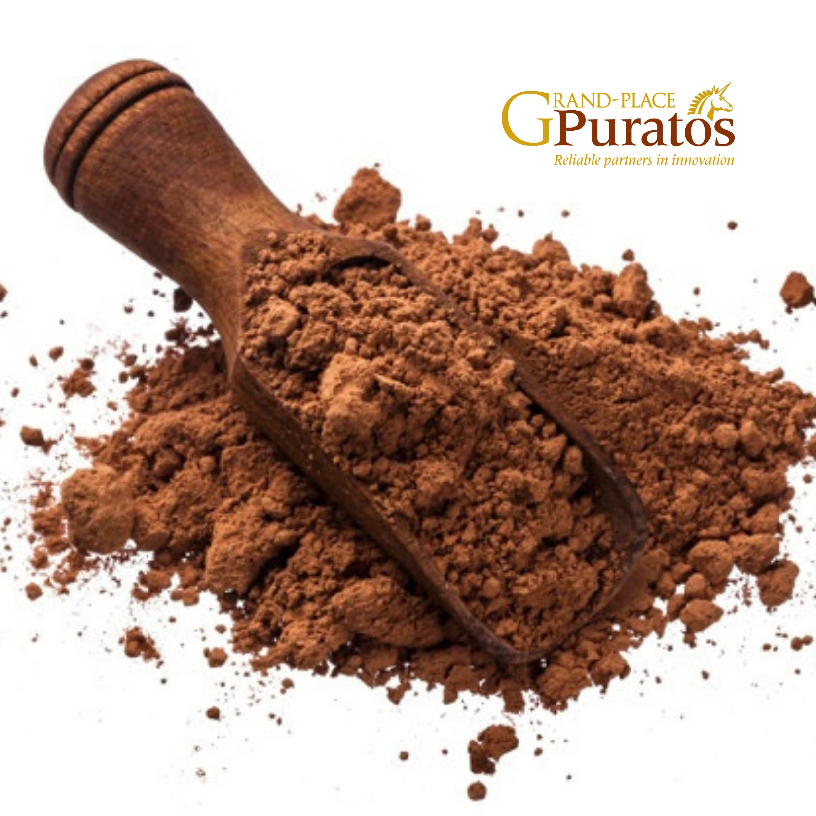 Pure Cocoa Powder Powder Halal Certified Raw Pure Organic Instant Cocoa Powder
