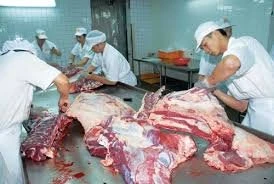 Quality Halal Frozen Boneless Beef Meat for Export Brazilian Origin