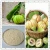 Import raw material garcinia cambogia fruit extract weight loss from China
