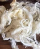 raw white sheep wool carpet fleece fiber