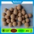 Import Reboinc-X1 12MM colored and natural color cork table soccer ball from China