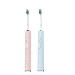 replaceable electric toothbrush head for ral care