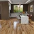 Import Residential and Commercial Waterproof Quick Cilck PVC Vinyl/SPC/WPC/ Laminate MSPC Flooring from China