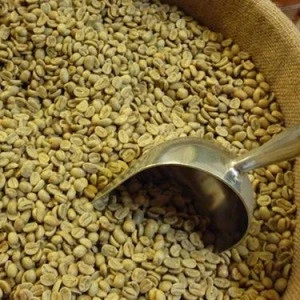 Robusta Green Coffee Beans All Grades Available