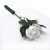 Import Rose Flower in Hand Fresh Natural Rose For weddings decoration flower light-up toys from China