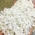 Import SGS Test expanded perlite for agriculture growing media from China