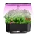 Import SHENPU Smart Wifi Indoor Hydroponic Garden Sets Flower Herb Pots & Planters from Pakistan