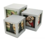 Silver cube picture frame pet urn