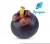 Import Spazies brand export premium quality Mangosteen Fresh Fruit from thailand Mangosteen Fresh Fruit from Thailand