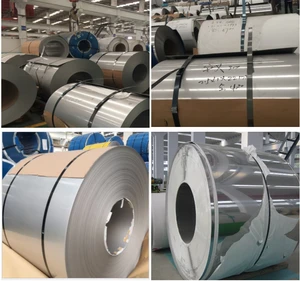 Stainless Steel Strips /Belt , Spring stainless steel band / Stainless Steel Coil