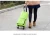 Import Stylish waterproof Oxford cloth travel bag folding shopping trolley light weight from China
