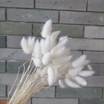 SumFlora wholesale cheap Flower natural dried flowers birthday decoration party supplies