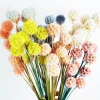 Summer Flora  factory direct supply preserved scabious small bunch windmill fruit for decorative flowers