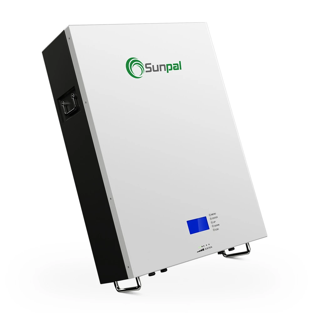 Sunpal Lifepo4 Lithium Ion Solar Batteries Pack 48 Volt 100Ah 150Ah 200Ah 48V For Home Appliances Solar Storage