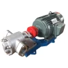 Supply Gear pump kcb -33.3 Corrosion resistant stainless steel kcb electric oil pump Stainless steel gear pump
