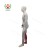 Import SY-N022 TCM Medical Teaching Equipment Human Body Acupuncture Model from China