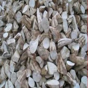 Tapioca Chips And Dried Cassava Chips
