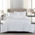 Import 300tc luxury hotel linen four-piece bed spread hotel collection cotton bedding from China