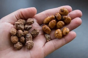 Tiger Nuts for sale