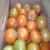 Import tomato for sale from Egypt