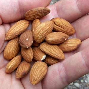 Top grade Almond nuts from CALIFORNIA/Super Grade Almond Sweet / California Almond Nuts For Sale