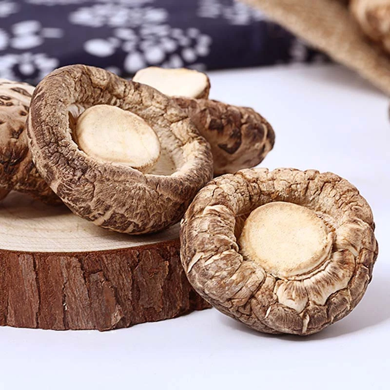 Top grade best price natural dried mushroom