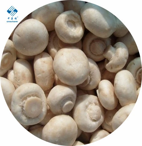 Top quality  Delicious White  Frozen  Mushroom Champignon Nameko Edulis Bolitus