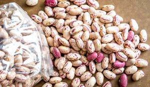 Turkish Light Speckled Red Kidney Beans Market Price