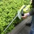 Import Venkin 710W Grass Scissors with rotated handle Electric Hedge Trimmer from China
