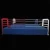 Import Whole Sale Mini Boxing Ring,Kids Small Boxing Ring from China
