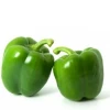 Wholesale Capsicum / Fresh Capsicum Vegetable / Fresh Bell