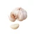 Import wholesale China fresh  garlic high quality  pure white garlic in bulk garlic manufacturers exporters from china from China
