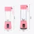 Import Wholesale Commercial Electric Rechargeable Fruit Juicer Mixer Mini Usb Hand Portable Blender from China