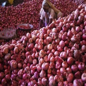 Wholesale Fresh Onion For Sale / Fresh Onion Export To USA/ Export Fresh Onion