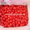 Wholesale Glace Cherries Candied Dried Cherry Fruit