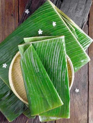 Wholesale Green Natural Banana Leaf from Viet Nam