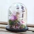 Import Wholesale Japanese decorative preserved flowers in glass dome from China