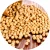 Import Wholesale Natural Soybeans Style  Natural  Non-GMO Soy Bean from Kazakhstan
