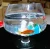 Import Wholesale New Design and High Quality Wine Glass Shaped Fish Tank from China