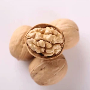 wholesale white thin skin shelled walnuts