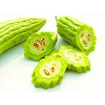 with quality warranty High Quality Bitter Melon Extract