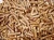 Import WOOD PELLET / A1 FIREWOOD/ CHARCOAL PALLET WOOD for Sale from Germany