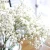 Import YO CHO Home Indoor Decorative artificial mini flowers Christmas Party decorative plastic artificial plants from China